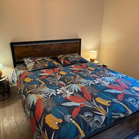 Residence Bois Du Bouchet, Appartement Vue Montagne, Calme, Parking Gratuit, Proche Centre Chamonix Eksteriør bilde