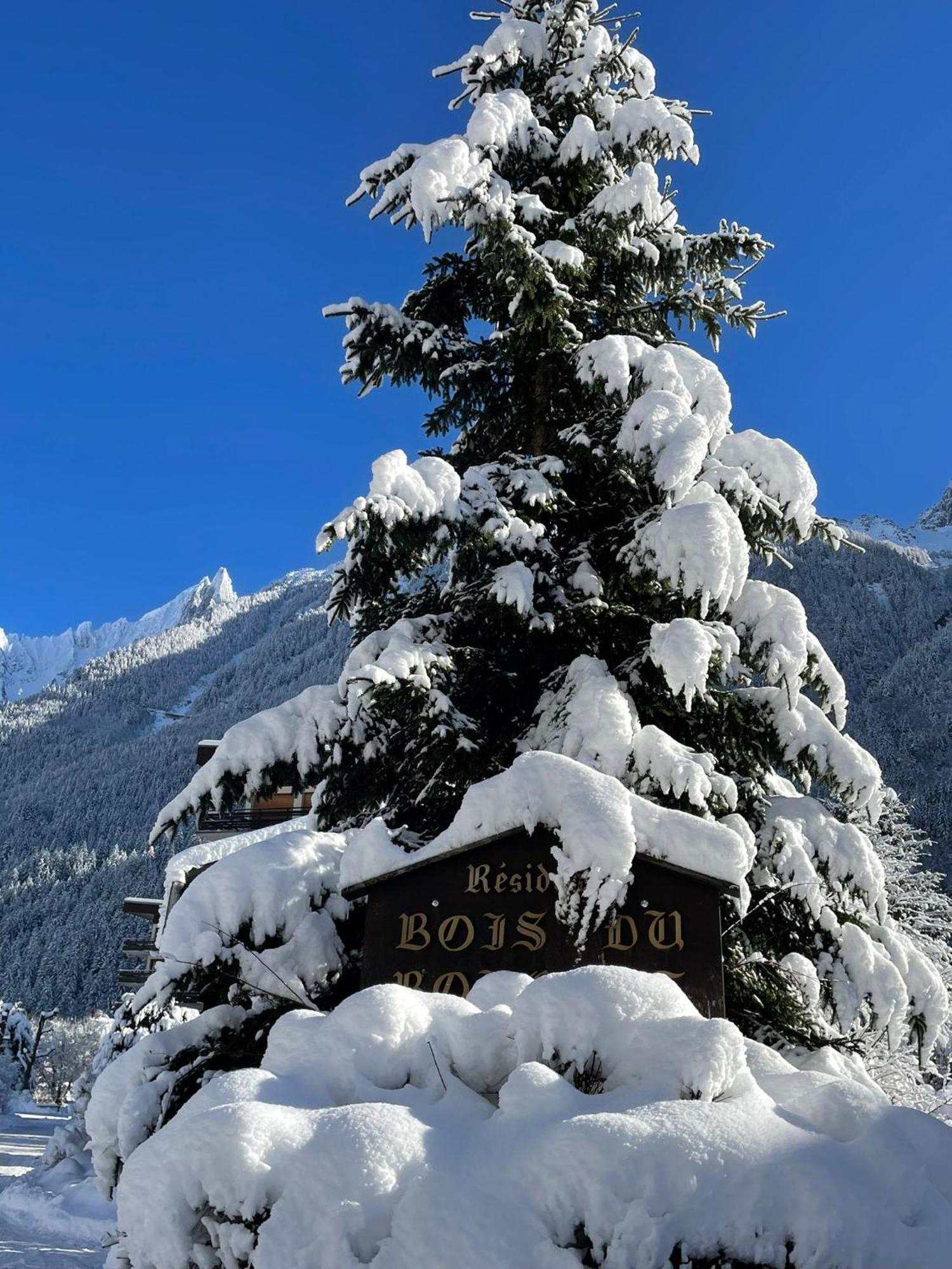 Residence Bois Du Bouchet, Appartement Vue Montagne, Calme, Parking Gratuit, Proche Centre Chamonix Eksteriør bilde